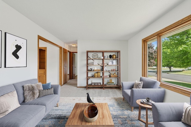 3697 75th St E, Inver Grove Heights, MN 55076 - living room with carpet floors