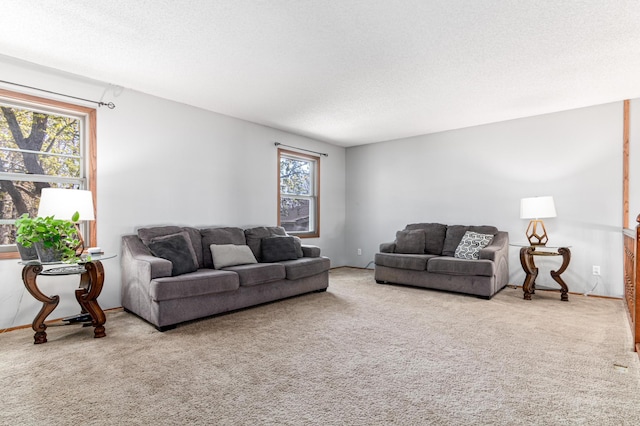 carpeted living area featuring a textured ceiling