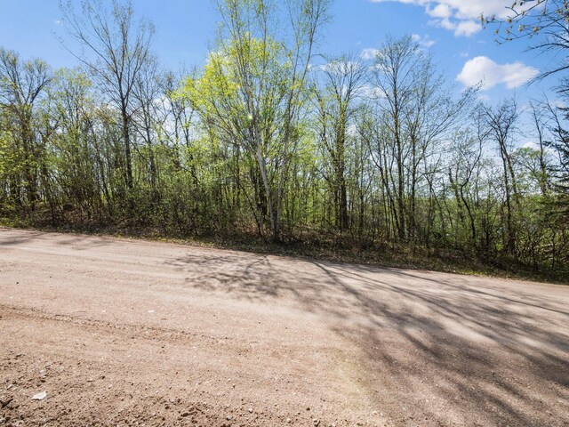 LOT1 Fern Ln, Kensington, MN 56343 - photo 23