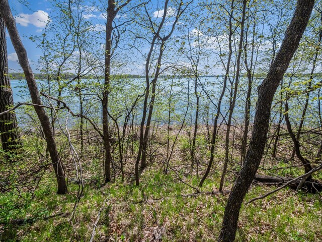 LOT1 Fern Ln, Kensington, MN 56343 - photo 26