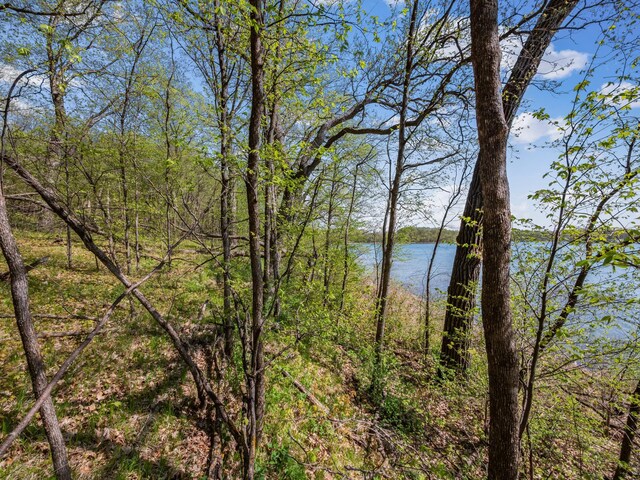 LOT1 Fern Ln, Kensington, MN 56343 - photo 27