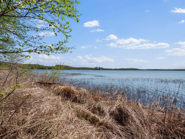 LOT1 Fern Ln, Kensington, MN 56343 - photo 28