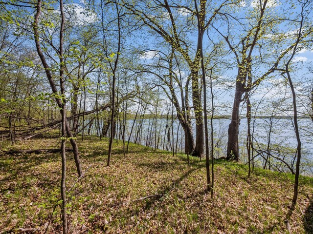 LOT1 Fern Ln, Kensington, MN 56343 - photo 30