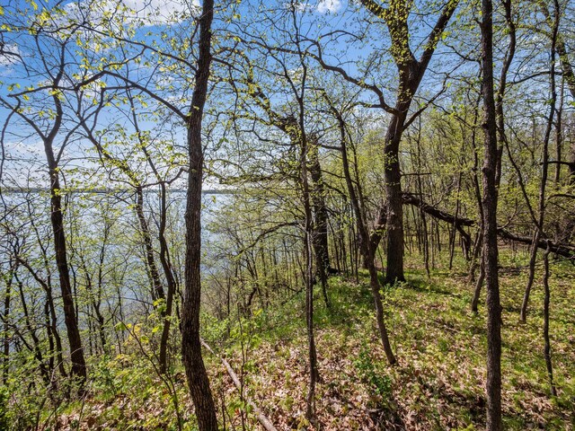 LOT1 Fern Ln, Kensington, MN 56343 - photo 33