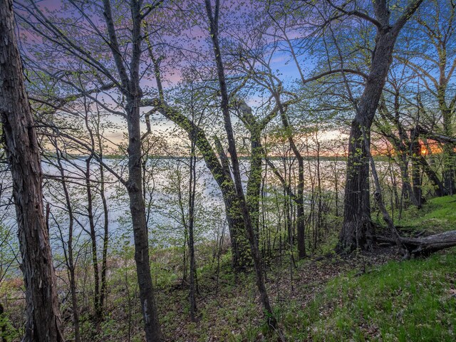 LOT1 Fern Ln, Kensington, MN 56343 - photo 36