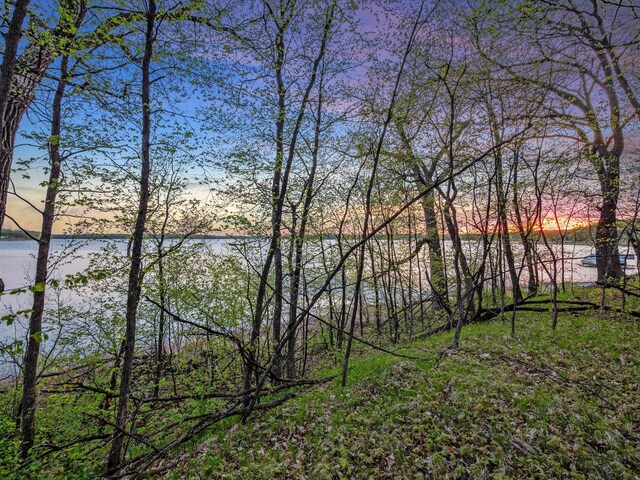 LOT1 Fern Ln, Kensington, MN 56343 - photo 37