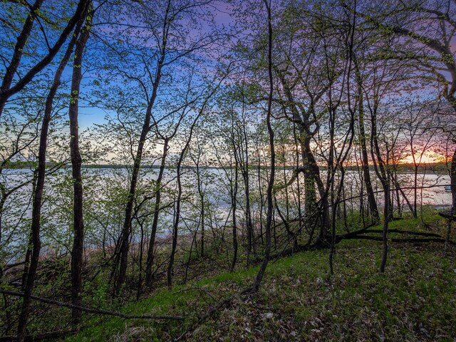 LOT1 Fern Ln, Kensington, MN 56343 - photo 38