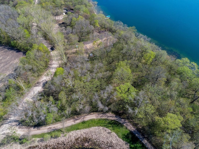 LOT1 Fern Ln, Kensington, MN 56343 - photo 4