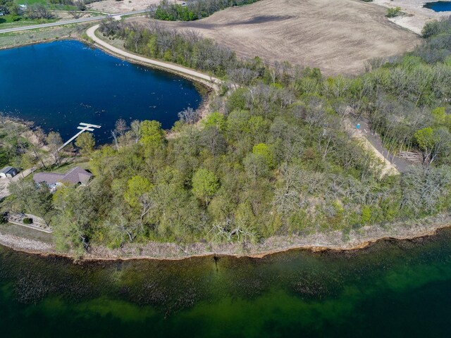 LOT1 Fern Ln, Kensington, MN 56343 - photo 6
