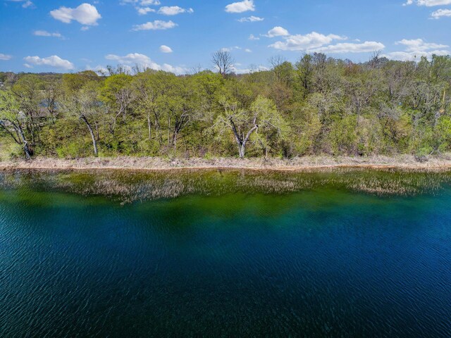 LOT1 Fern Ln, Kensington, MN 56343 - photo 8