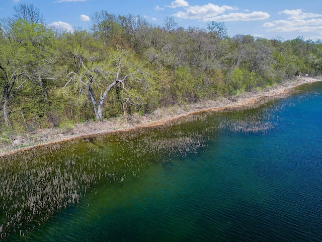 LOT1 Fern Ln, Kensington, MN 56343 - photo 9