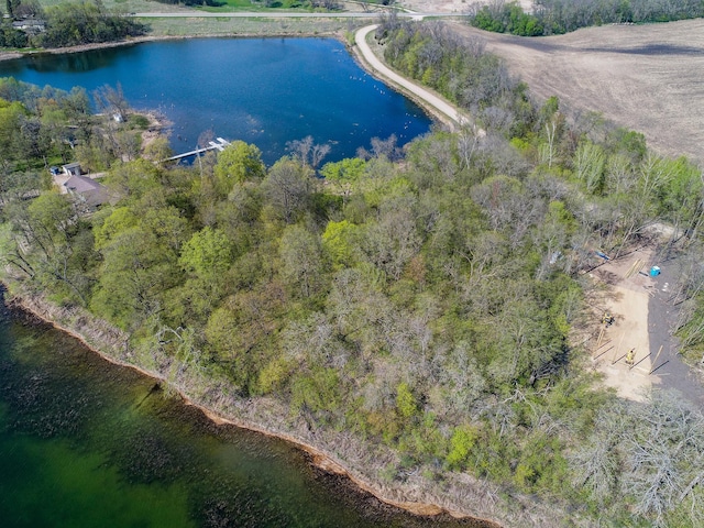 LOT1 Fern Ln, Kensington, MN 56343 - photo 10