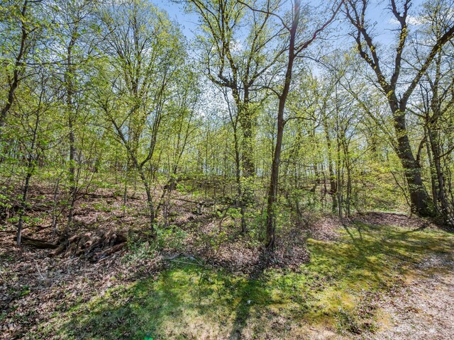 LOT1 Fern Ln, Kensington, MN 56343 - photo 24