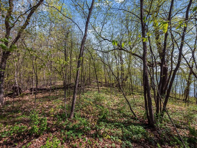 LOT1 Fern Ln, Kensington, MN 56343 - photo 25