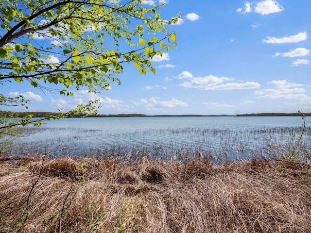 LOT1 Fern Ln, Kensington, MN 56343 - photo 29