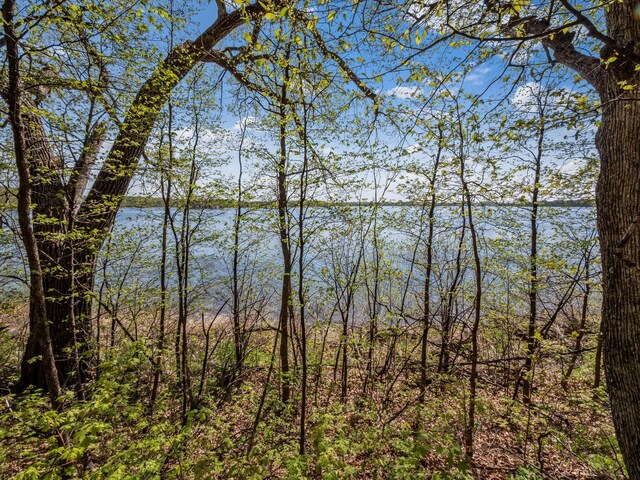LOT1 Fern Ln, Kensington, MN 56343 - photo 31