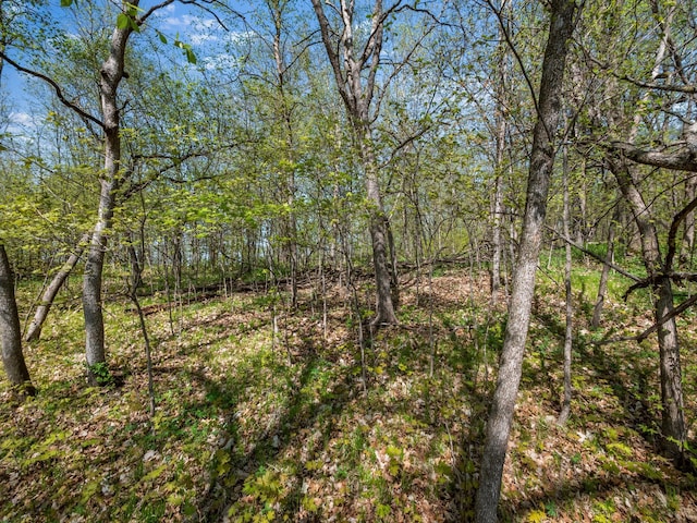 LOT1 Fern Ln, Kensington, MN 56343 - photo 32