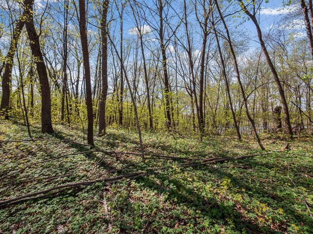 LOT1 Fern Ln, Kensington, MN 56343 - photo 34