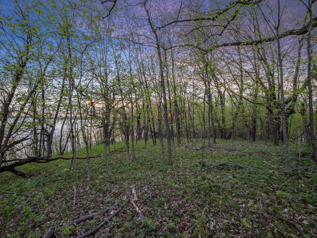 LOT1 Fern Ln, Kensington, MN 56343 - photo 35