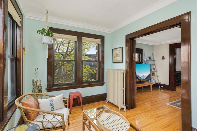1828 Clinton Ave Unit 3, Minneapolis, MN 55404 - sitting room featuring radiator heating unit, light wood-type flooring, baseboards, and crown molding