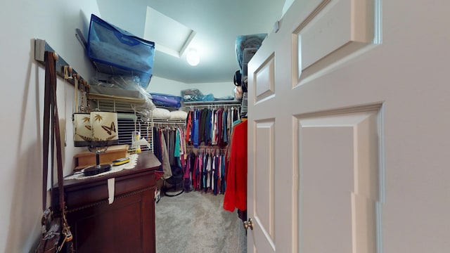 2704 Campus Ln, Albert Lea, MN 56007 - spacious closet with carpet