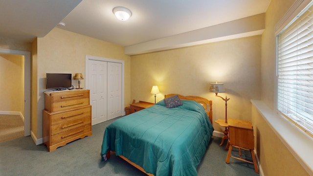 2704 Campus Ln, Albert Lea, MN 56007 - carpeted bedroom featuring a closet, multiple windows, and baseboards