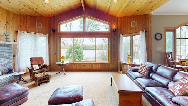 2704 Campus Ln, Albert Lea, MN 56007 - living area with wood walls, carpet flooring, a water view, lofted ceiling, and wooden ceiling