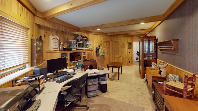 2704 Campus Ln, Albert Lea, MN 56007 - carpeted office space with beam ceiling and wood walls