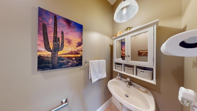 2704 Campus Ln, Albert Lea, MN 56007 - bathroom featuring a sink and baseboards