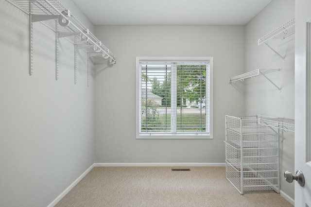 spacious closet with visible vents and carpet floors