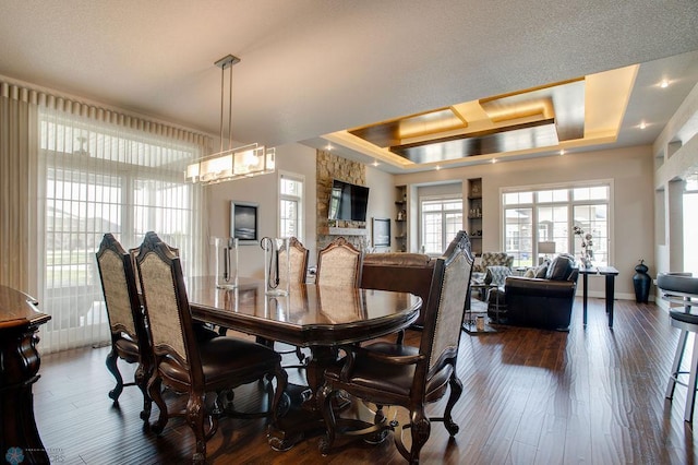 dining space featuring a tray ceiling, baseboards, and dark wood-type flooring