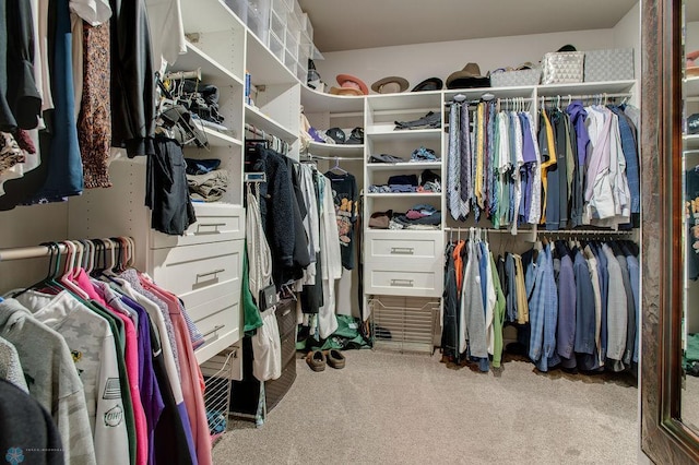 walk in closet featuring carpet floors