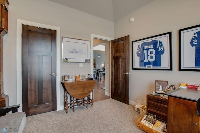 interior space with carpet floors