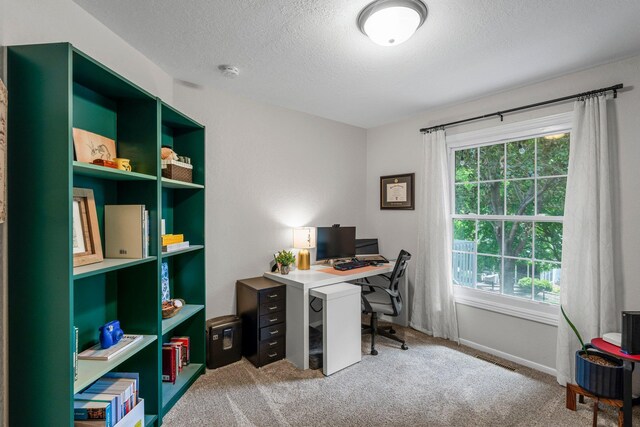 95 Olympic Cir, Chanhassen, MN 55317 - carpeted office space featuring a textured ceiling