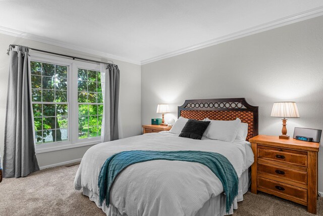 95 Olympic Cir, Chanhassen, MN 55317 - bedroom featuring carpet, ornamental molding, and baseboards