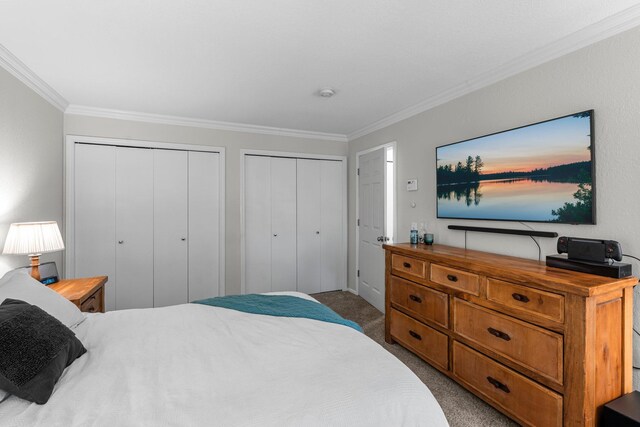 95 Olympic Cir, Chanhassen, MN 55317 - bedroom featuring multiple closets, ornamental molding, and carpet flooring