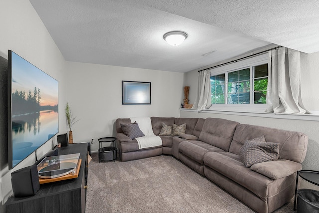 95 Olympic Cir, Chanhassen, MN 55317 - living area featuring a textured ceiling and carpet