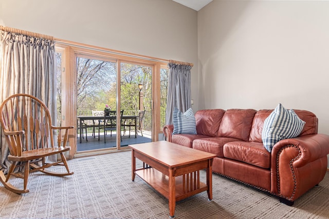 living area featuring a high ceiling