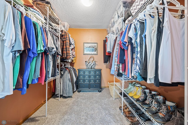spacious closet with carpet