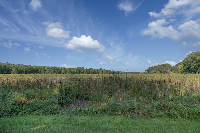 4224 Thunder Lake Lodge Dr NE, Remer, MN 56672 - view of undeveloped land with rural landscape