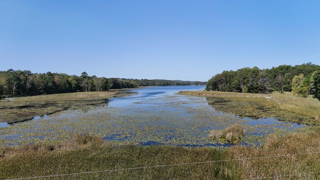 4224 Thunder Lake Lodge Dr NE, Remer, MN 56672 - water view with a heavily wooded area