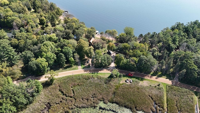 4224 Thunder Lake Lodge Dr NE, Remer, MN 56672 - aerial view of property and surrounding area with a heavily wooded area