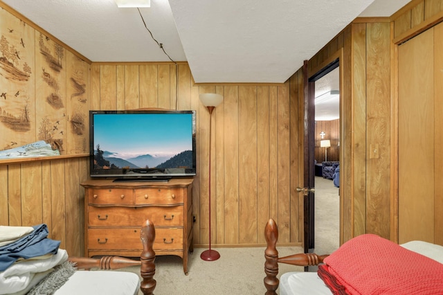 11438 Zea St NW, Coon Rapids, MN 55433 - bedroom featuring carpet flooring and wooden walls