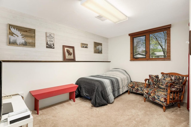 11438 Zea St NW, Coon Rapids, MN 55433 - view of carpeted bedroom