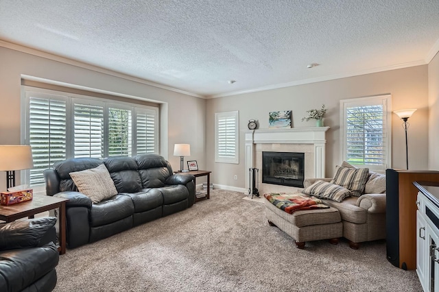 1237 Summit Oaks Dr, Burnsville, MN 55337 - living room with carpet, plenty of natural light, ornamental molding, a textured ceiling, and a fireplace with flush hearth