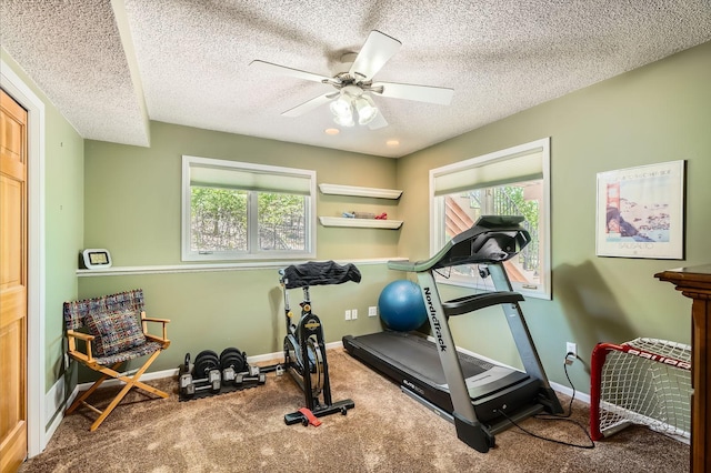 1237 Summit Oaks Dr, Burnsville, MN 55337 - workout room with carpet floors, a ceiling fan, and a textured ceiling