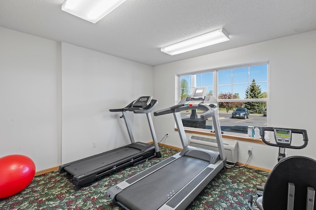 610 Whiskey Rd NW Unit 115, Isanti, MN 55040 - exercise room with carpet floors and a textured ceiling