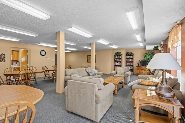 610 Whiskey Rd NW Unit 115, Isanti, MN 55040 - carpeted living area with a textured ceiling