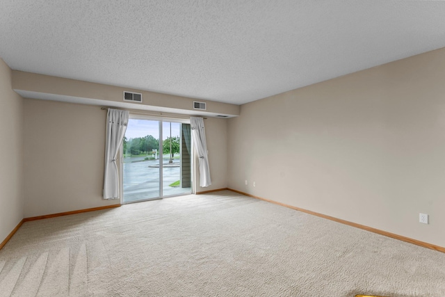 610 Whiskey Rd NW Unit 115, Isanti, MN 55040 - spare room featuring carpet floors and a textured ceiling