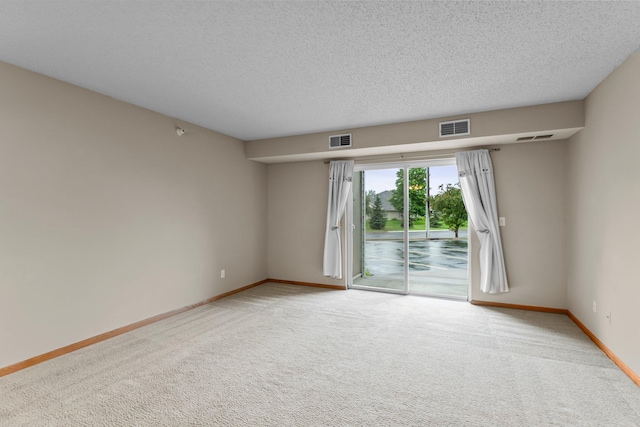 610 Whiskey Rd NW Unit 115, Isanti, MN 55040 - spare room with carpet and a textured ceiling